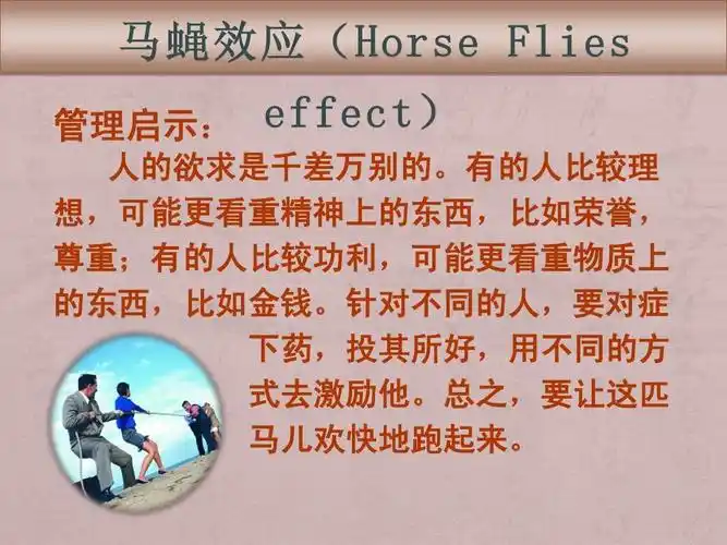 马蝇效应ppt