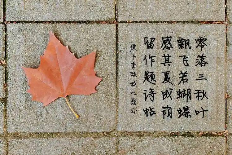 五绝落叶吟          零落三秋叶,飘飞若蝴蝶.