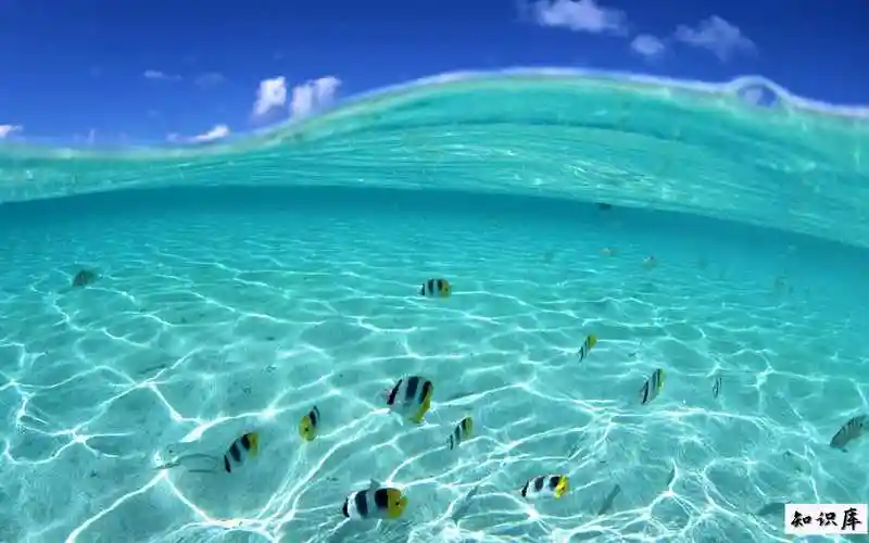 海水为什么不能喝 海水为什么不能喝和洗澡 科普