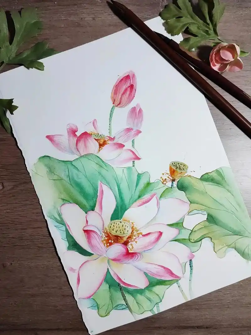 水彩荷花库存‖内附详细步骤和线稿.#画画 #绘画 #水彩 # - 抖音