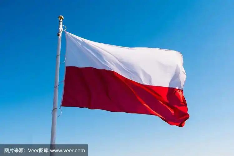 天空中飘扬着波兰国旗