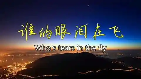 谁的眼泪在飞孟庭苇