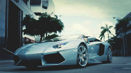 500_281gif 动态图 动图