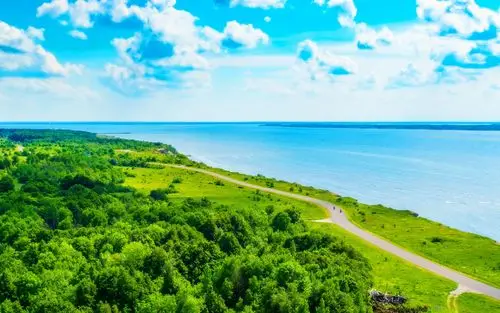 世界的美好很清新