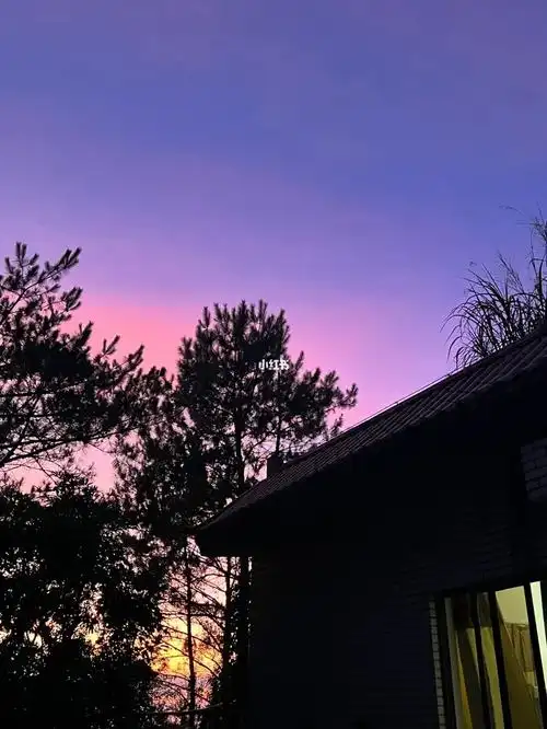 1080_1439竖版 竖屏