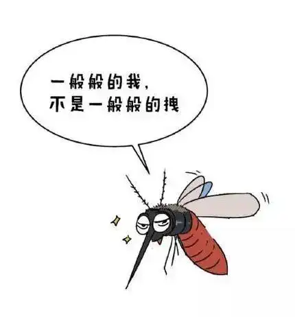 天气越来越热,让人最讨厌的蚊子也开始频繁地活动.