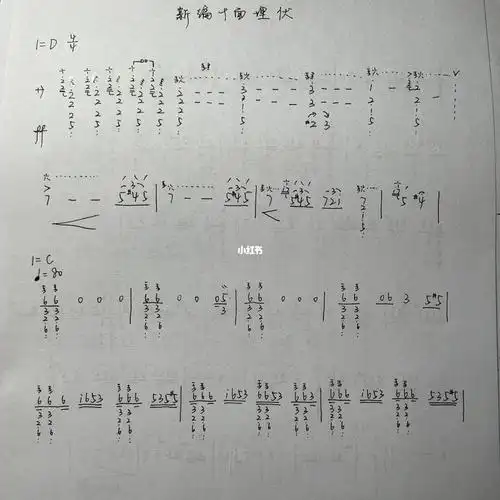 赵聪琵琶新编十面埋伏