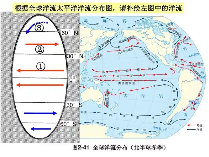 根据全球洋流太平洋洋流分布图,请补绘左图中的洋流 ③ ② ① 60°