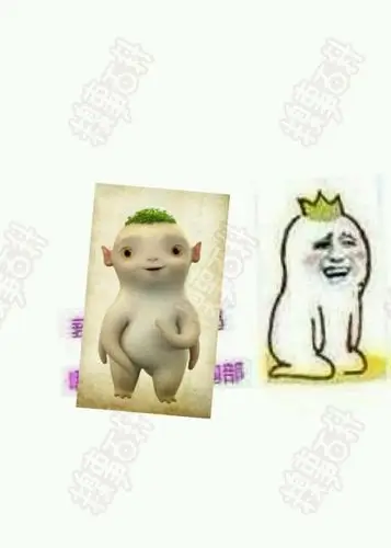 总感觉胡巴长大后是这样的