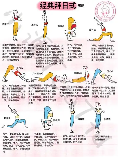 瑜伽排课经典拜日式瑜伽老师排课必备