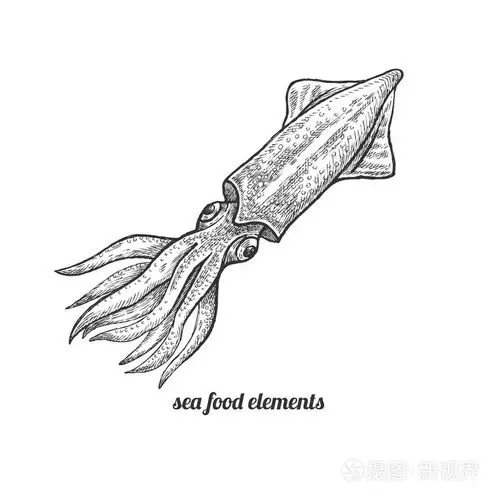 插画-正版商用图片0shjsh-摄图新视界