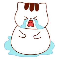 微信表情包-动效(肥猫团子)