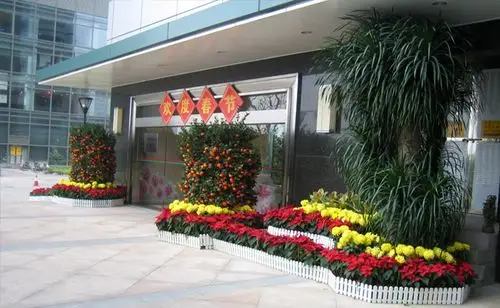 机关单位植物租摆-广州植物花卉租赁_室内绿植租摆_绿植组景_广州欣怡