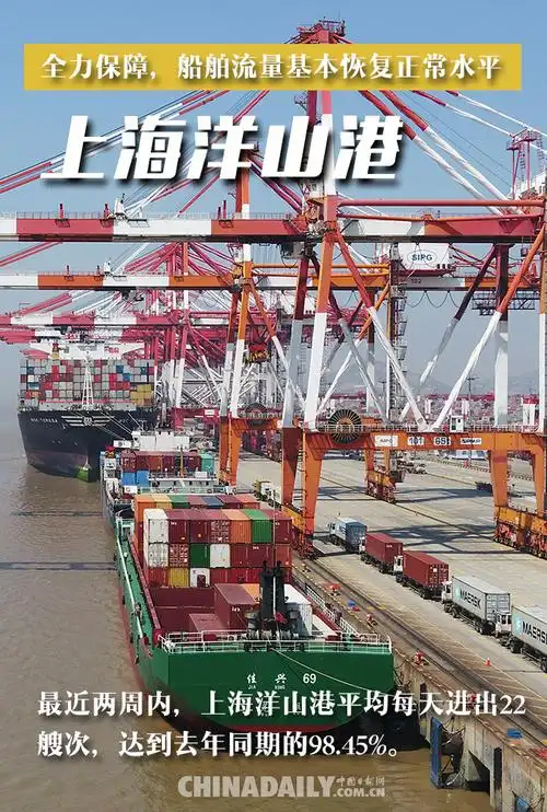 海报沿海港口显活力国际产业链供应稳如锚