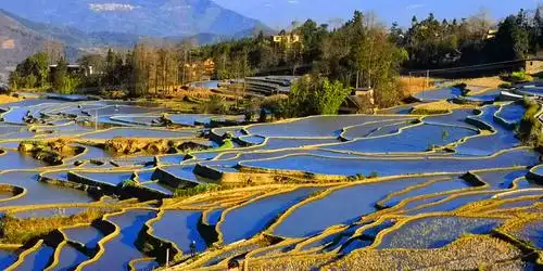 七彩云南之旅:元阳哈尼篇《瑰丽奇观——最美的中国水墨特色风光!