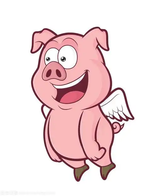 会飞的猪——李书蒴