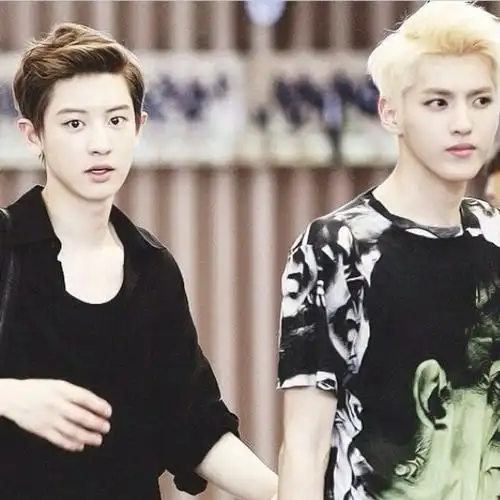是由吴亦凡(kris)(前成员)与chanyeol(朴灿烈)所组成的王道couple.