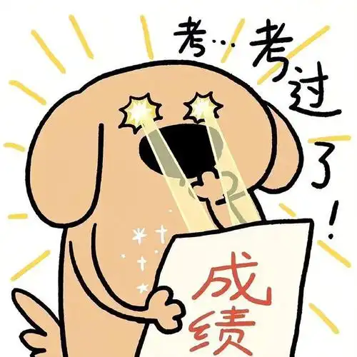 逢考必过上岸头像