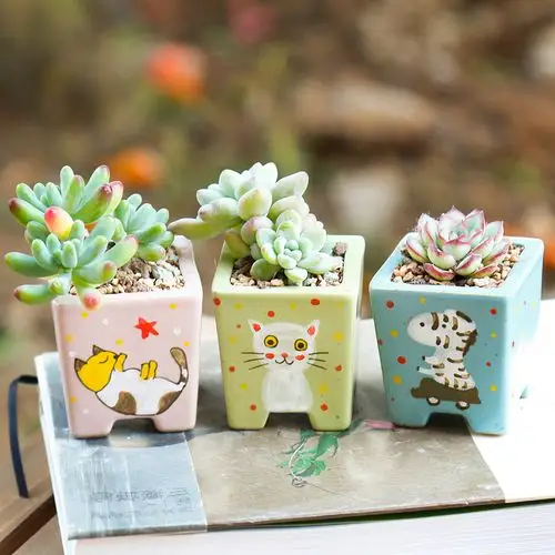 有点甜|手绘卡通陶瓷多肉花盆可爱透气组合控型盆办公桌小花盆