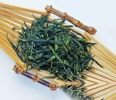 百药煎_中药大全