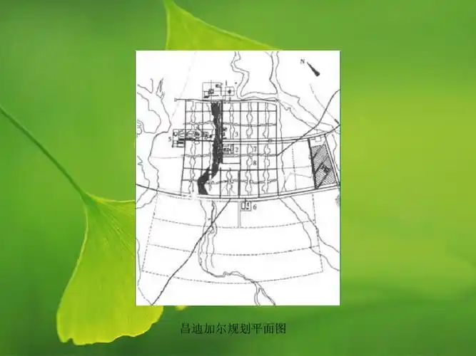 昌迪加尔规划平面图