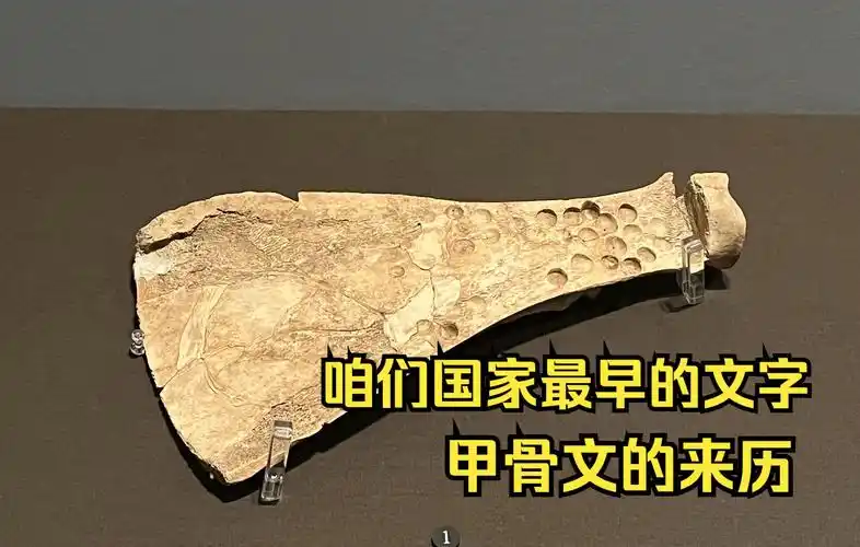 你知道甲骨文是怎么来的吗?用一块骨头给你说清楚