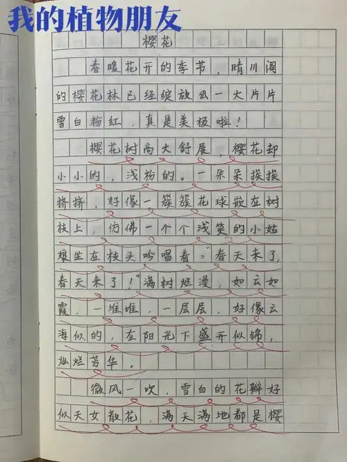小学生作文三下第一单元我的植物朋友