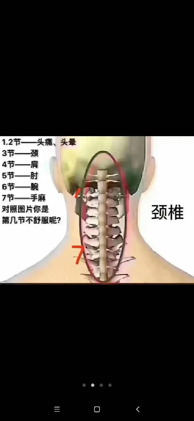 "风从后颈入,寒从足底生"! 天气转凉了,千万不要让秋风吹凉 - 抖音