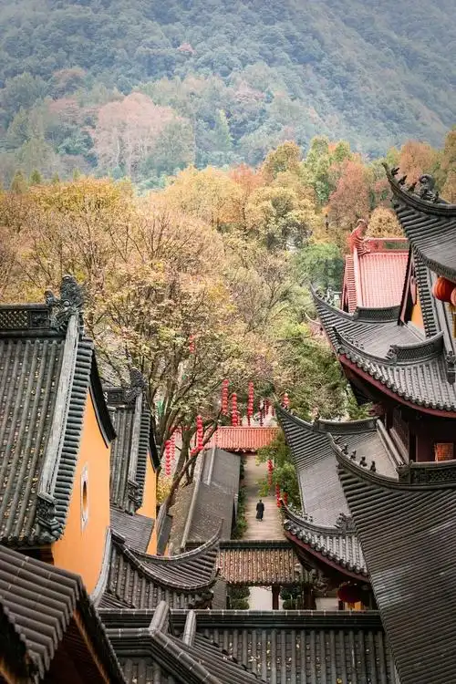 去杭州灵隐寺注意事项 去杭州灵隐寺需要注意什么