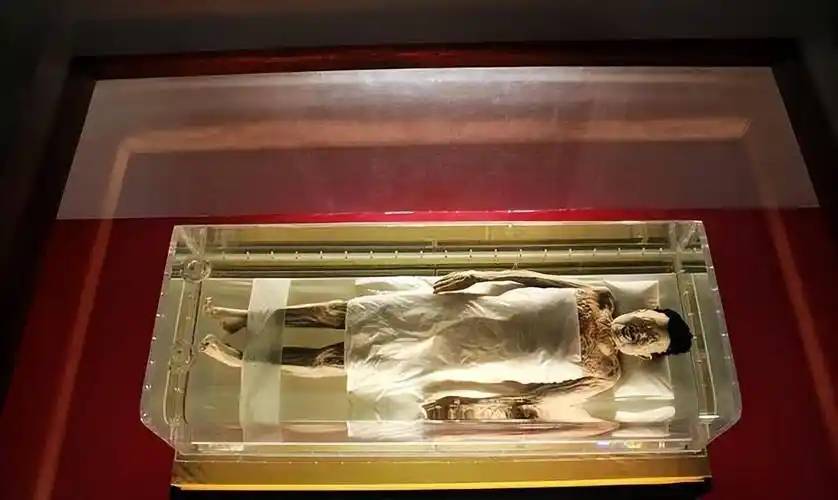 固伦荣宪公主的棺椁被存放在密室内,根据现场痕迹判断,遗体在入殓后并