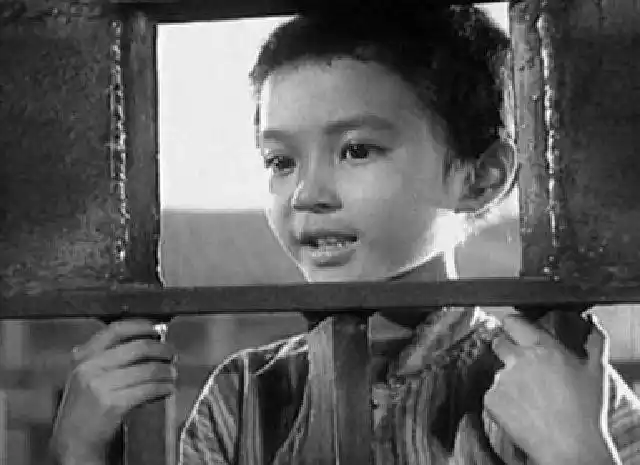 小萝卜头你要活着也80岁了我老了这辈子最后一次来看你了