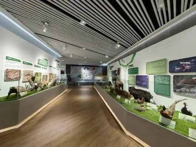 【上饶天下show之三清山】三清山地质博物馆,藏在世界自然遗产地的