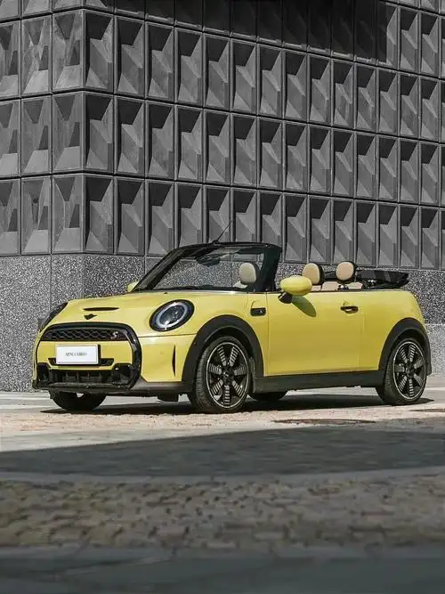 高级又可爱99敞篷还得看mini9199