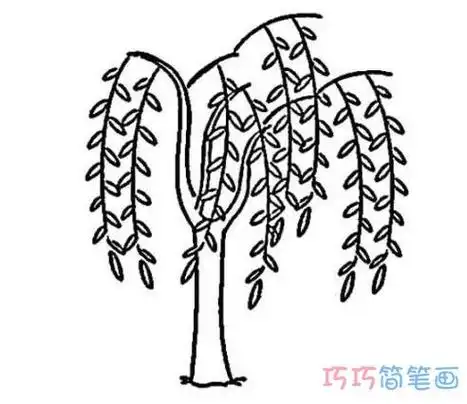 柳树的画法简笔画图片教程简单好看