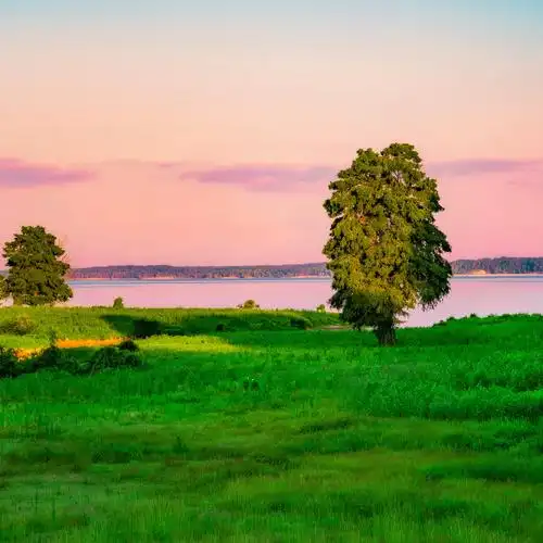 风景头像 成熟稳重