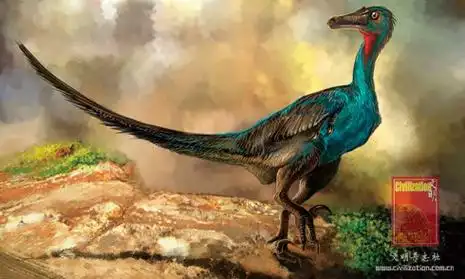 p>伤齿龙生存于晚 a href="#" data-lemmaid="383549">白垩纪 /a>,约