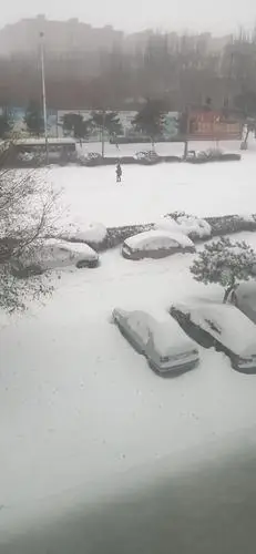 通辽暴雪