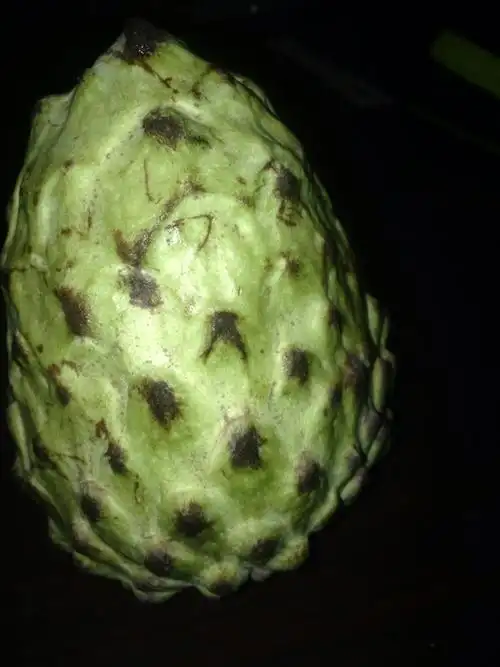 这是个什么东西