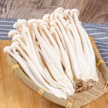 四川新鲜海鲜菇食用菌菇蟹味菇白玉菇斑玉蕈香蘑菇煲汤蔬菜 5袋 新鲜