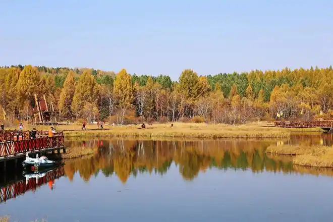 河北秋季热门景点塞罕坝旅游攻略低音号语音导游