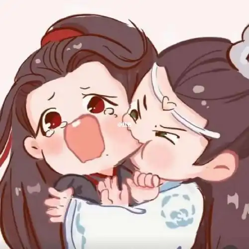 蓝湛忘不了魏婴