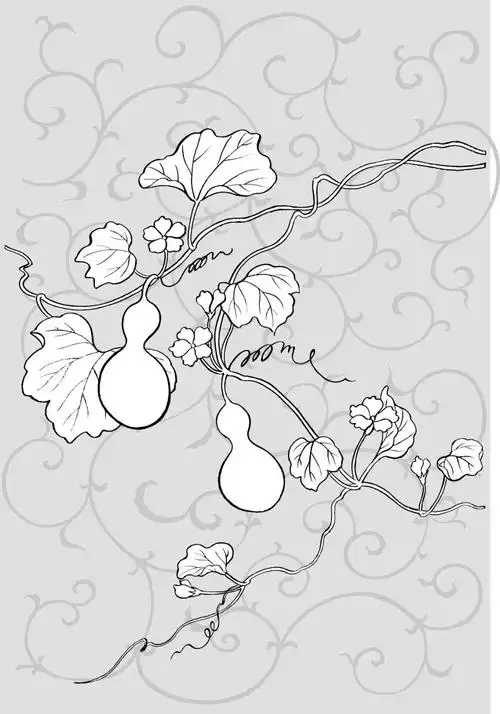 线描葫芦