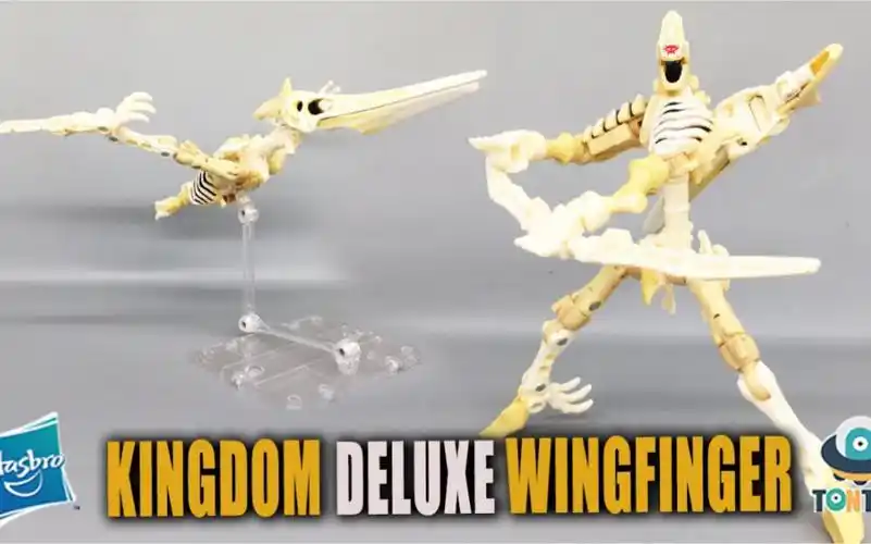 变形金刚决战塞伯坦王国d级wingfinger翼指龙翼龙化石兽tonton视频