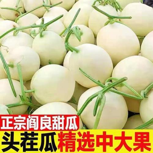 当季陕西小白甜瓜头茬瓜精品装红心或白心现摘整箱水果景甜小白瓜