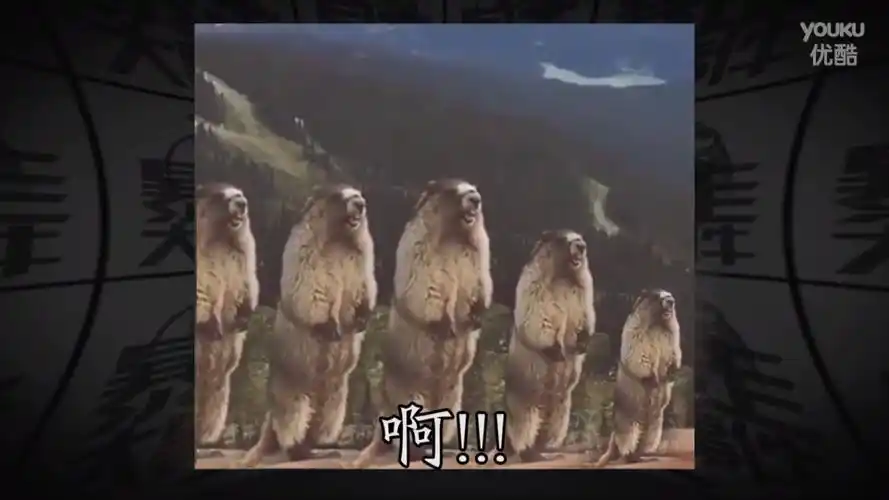 一只熊在咆哮,那是什么电影里的?_百度知道