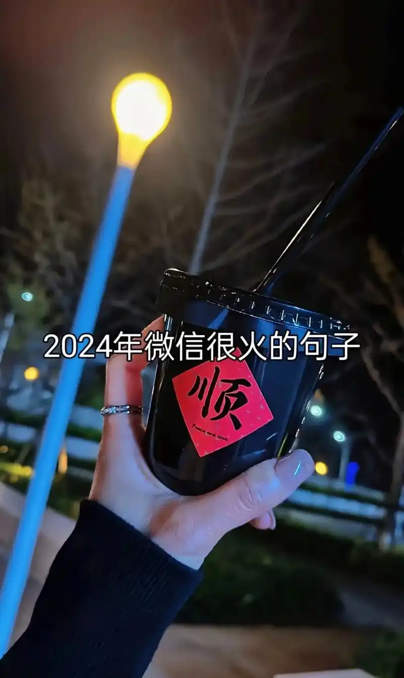2024年微信很火的句子.#情感语录文字控 #朋友圈文案 # - 抖音