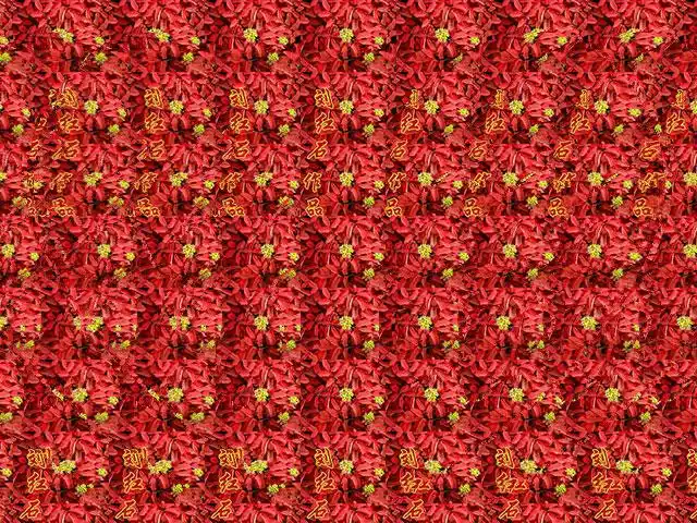 3d画中画,右脑发达者可见!