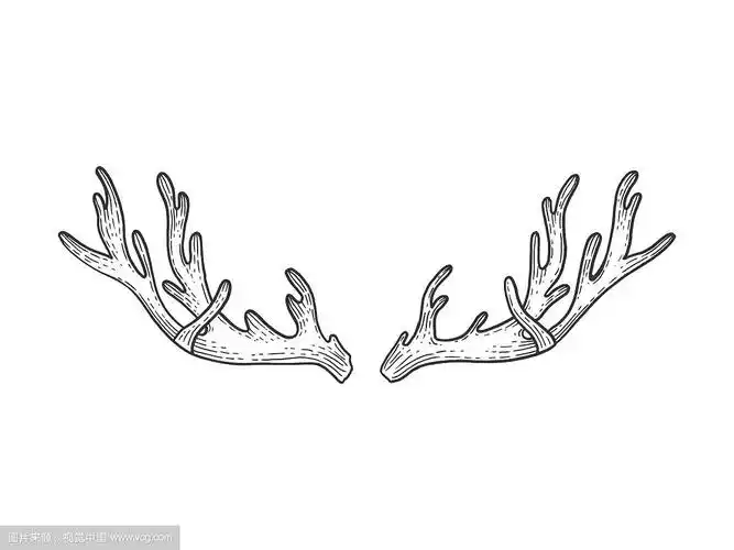 鹿角素描雕刻