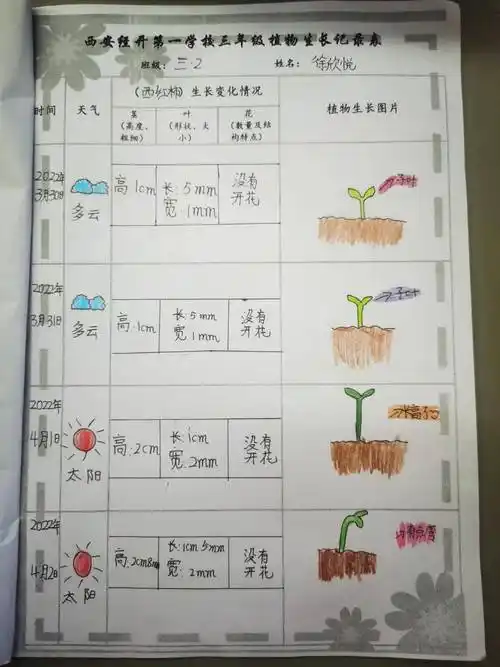 为了丰富学生的课外实践活动,让学生发现植物生长的奥妙,体验种植的