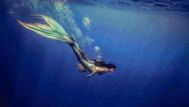 深圳adex海洋节数百人鱼大party丨首届美人鱼大赛名单公布